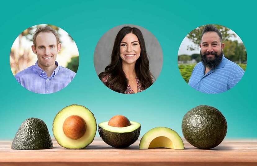 Mission Produce Advances Its Sales and Sourcing Departments Mission